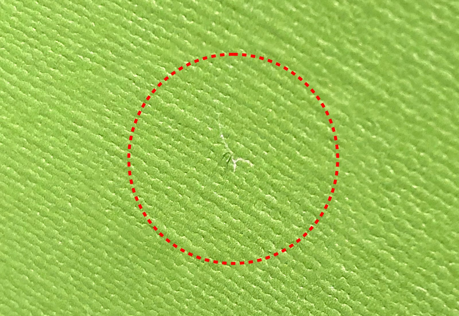 表面の毛羽立ちの拡大イメージ