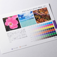 アラベールとは？質感や印刷適性、ヴァンヌーボとの違いを解説