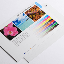 コートカード紙(カードB)とは?化粧箱における用途や魅力を紹介