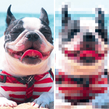 画像解像度とdpi｜印刷やWebサイトの目安と確認方法