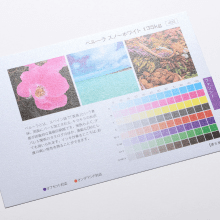 ペルーラとは？用紙の特徴とおすすめの用途