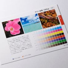 サテン金藤とは？特徴や用途、マットコートとの違いを解説