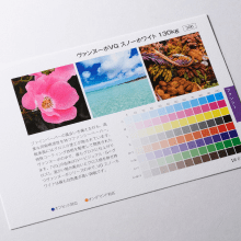 ヴァンヌーボとは？質感や印刷適性、アラベールとの違いを解説