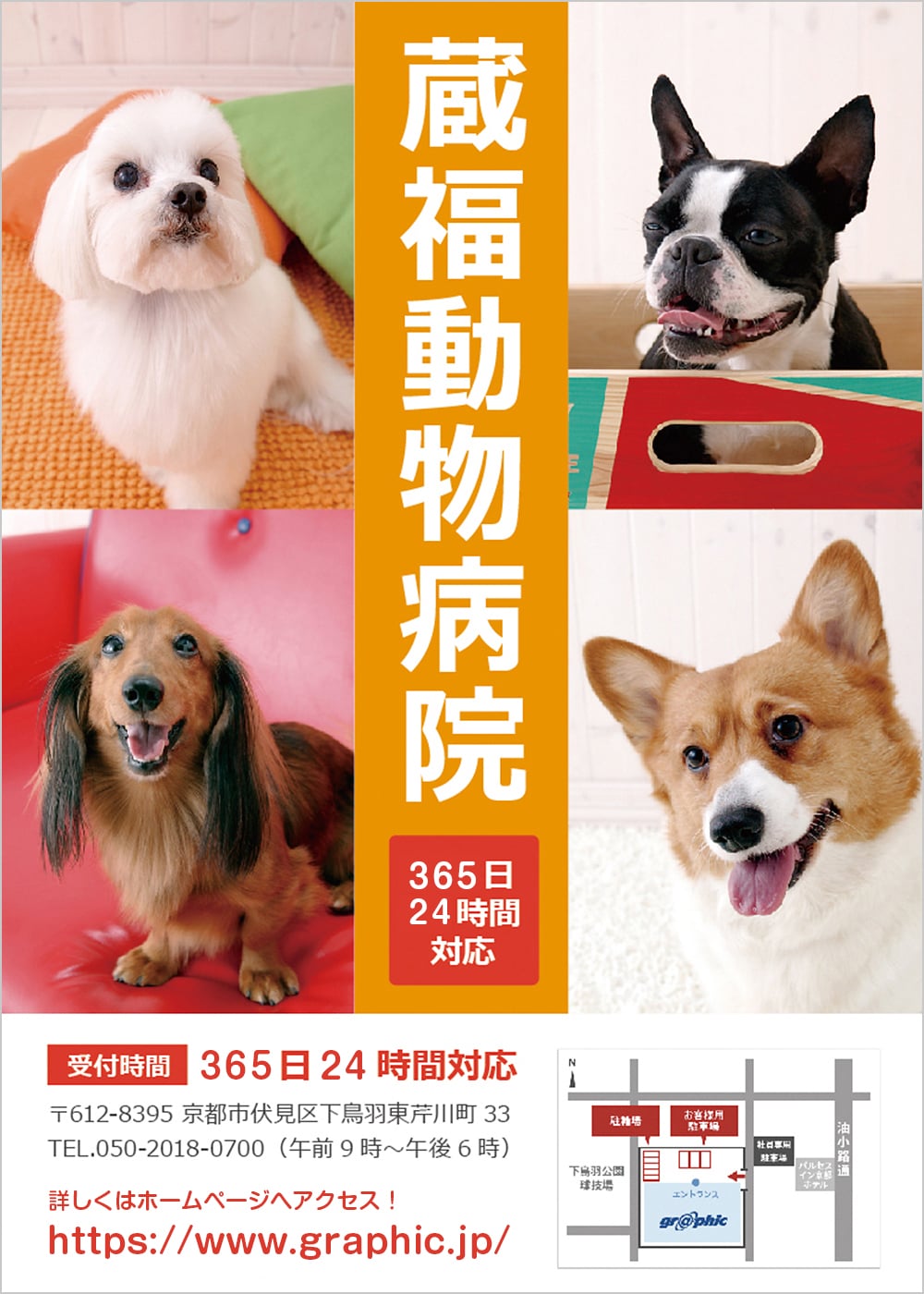 動物病院チラシの拡大見本
