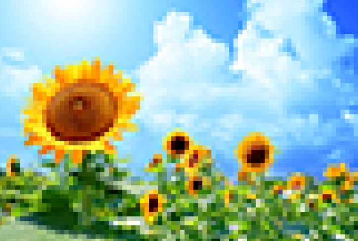 解像度が低い画像ではギザギザで粗くてぼんやりした仕上がりに