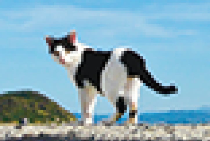 解像度が低い画像