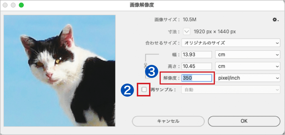 「解像度」に「350」と入力