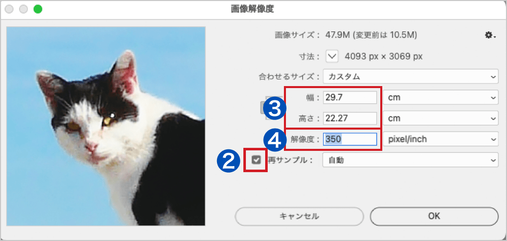 「幅」と「高さ」に目的の印刷サイズを入力、「解像度」に「350」と入力