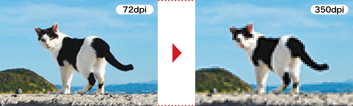 無理な拡大によって画像がぼやけてしまい、画質が劣化