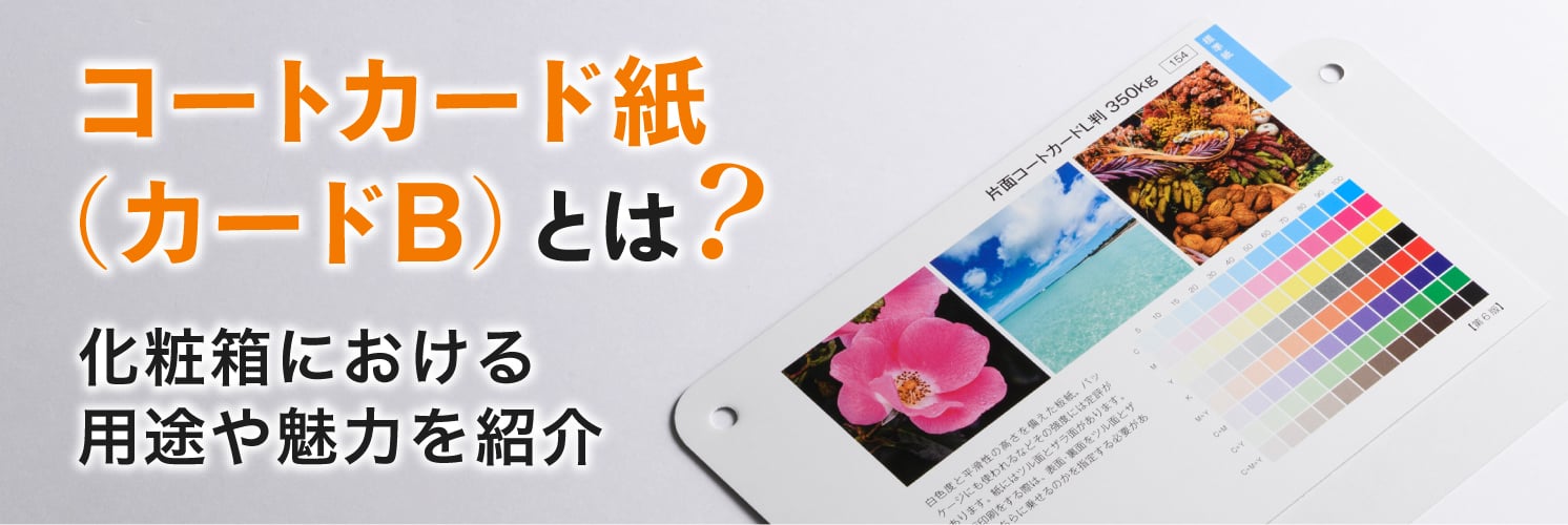 コートカード紙(カードB)とは?
化粧箱における用途や魅力を紹介