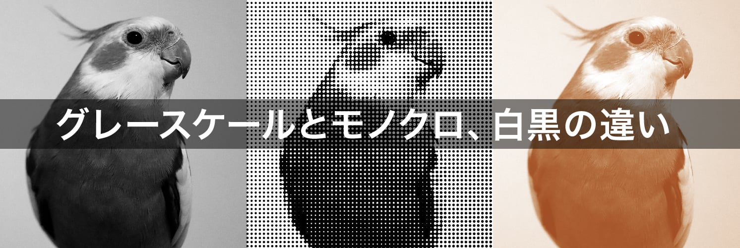 グレースケールとは?
モノクロ、白黒との違いと印刷時の注意点
