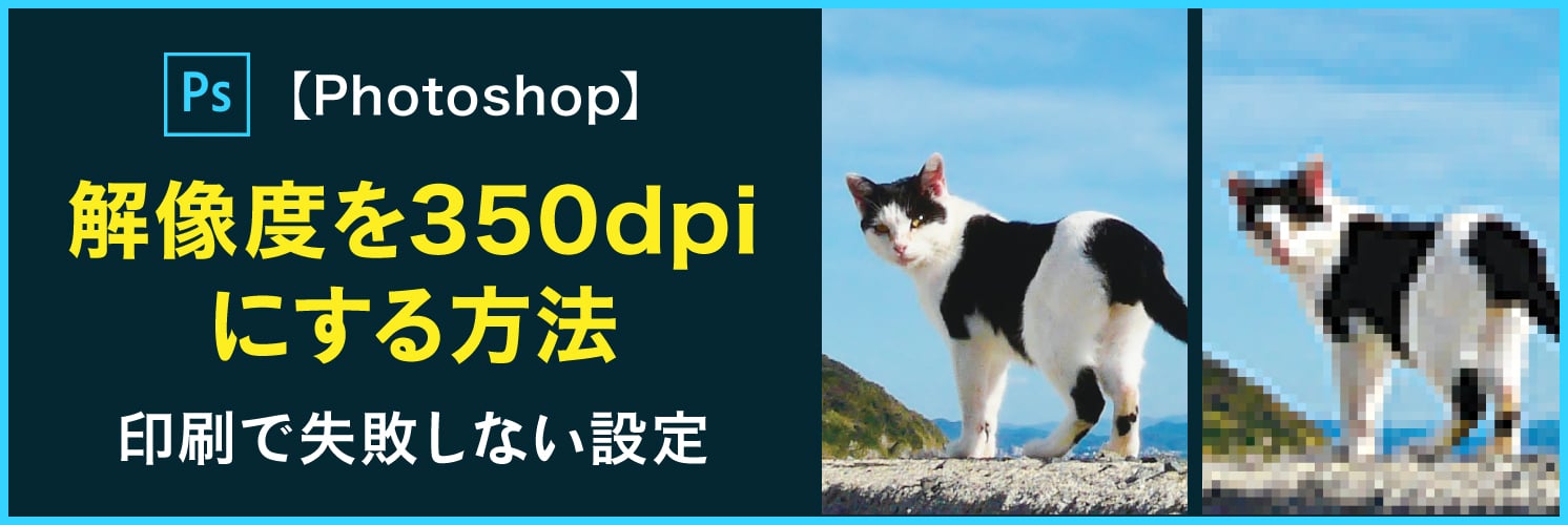 【Photoshop】解像度を350dpiにする方法｜印刷で失敗しない設定