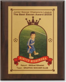 金属盾のイメージ