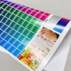 グロスターポリン素材のイメージ