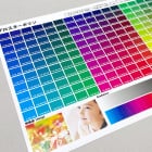 グロスターポリンの印刷イメージ