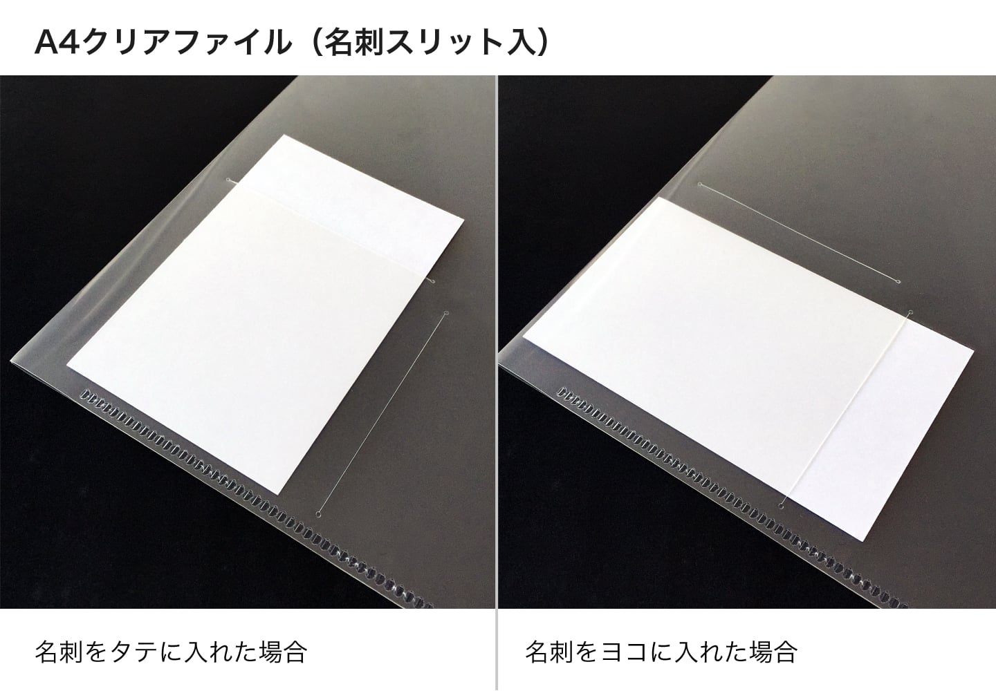 名刺をタテ・ヨコに入れたイメージ