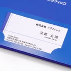 大容量A4 2ポケットホルダー 差し込みやすい名刺ポケット付き。