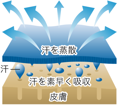 蒸散機構のイメージ
