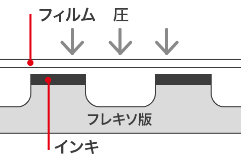 フレキソ印刷イメージ