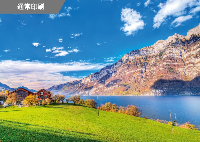 sky and grassland