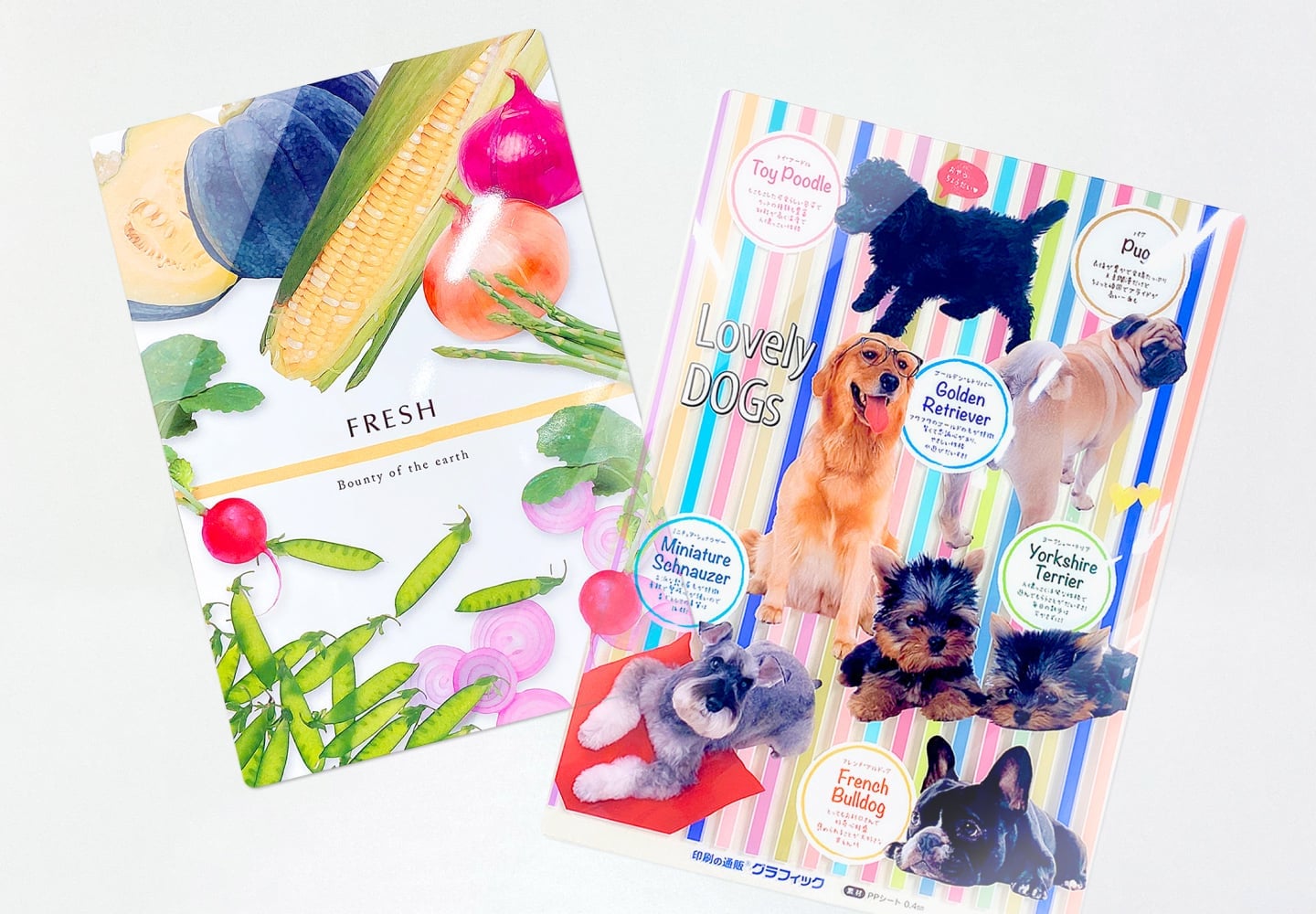 オンデマンド下敷き（A4）のイメージ