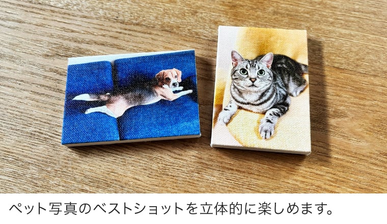 ペット写真のベストショットを立体的に楽しめます