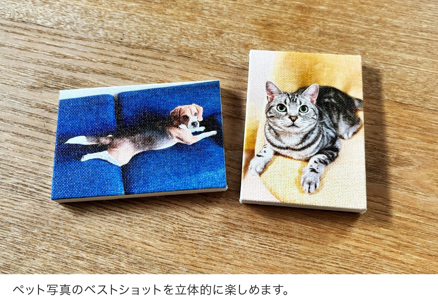 ペット写真のベストショットを立体的に楽しめます