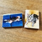 ペット写真のベストショットを立体的に楽しめます