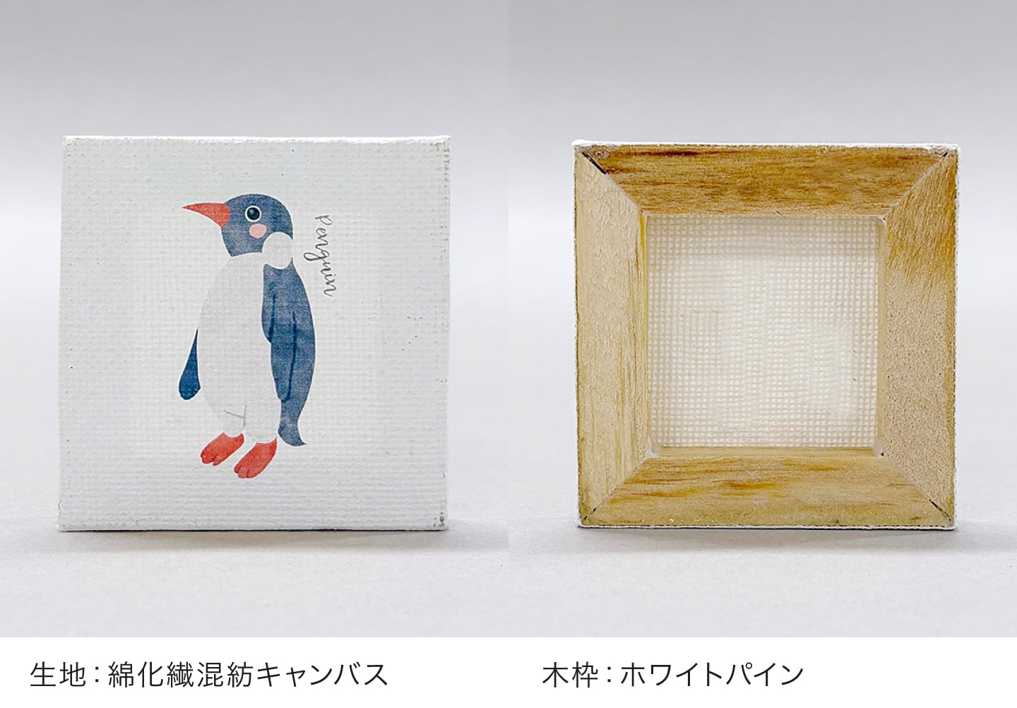 生地と裏面のイメージ