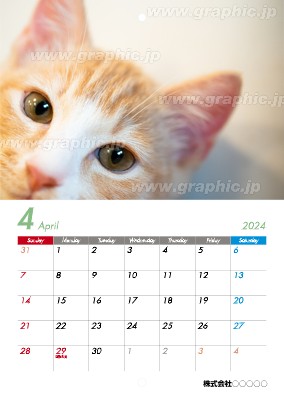 4月始まりMサイズ中綴じカレンダーの中綴じカレンダーデザインテンプレートイメージ