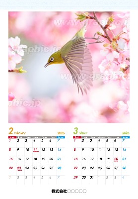 送料無料】音月桂さん掲載2ページ（ポスターサイズ）#3856