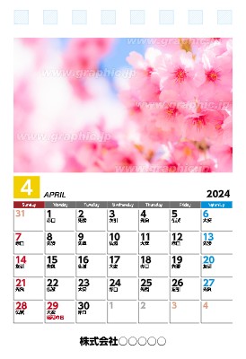 4月始まり卓上シングル・SSサイズカレンダーの卓上カレンダー（リングタイプ）デザインテンプレートイメージ
