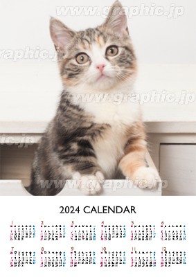 A2ポスターカレンダー_ダイナミックの年賀はがきデザインテンプレートイメージ