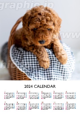 A3ポスターカレンダー_ダイナミックの年賀はがきデザインテンプレートイメージ