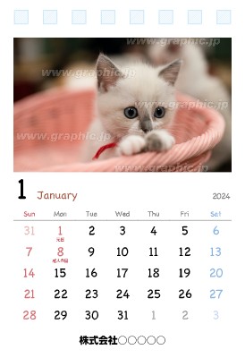 1月始まり卓上シングル・SSサイズカレンダーの卓上カレンダー（リングタイプ）デザインテンプレートイメージ