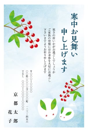 デザインテーマ 寒中見舞い01のデザイン例